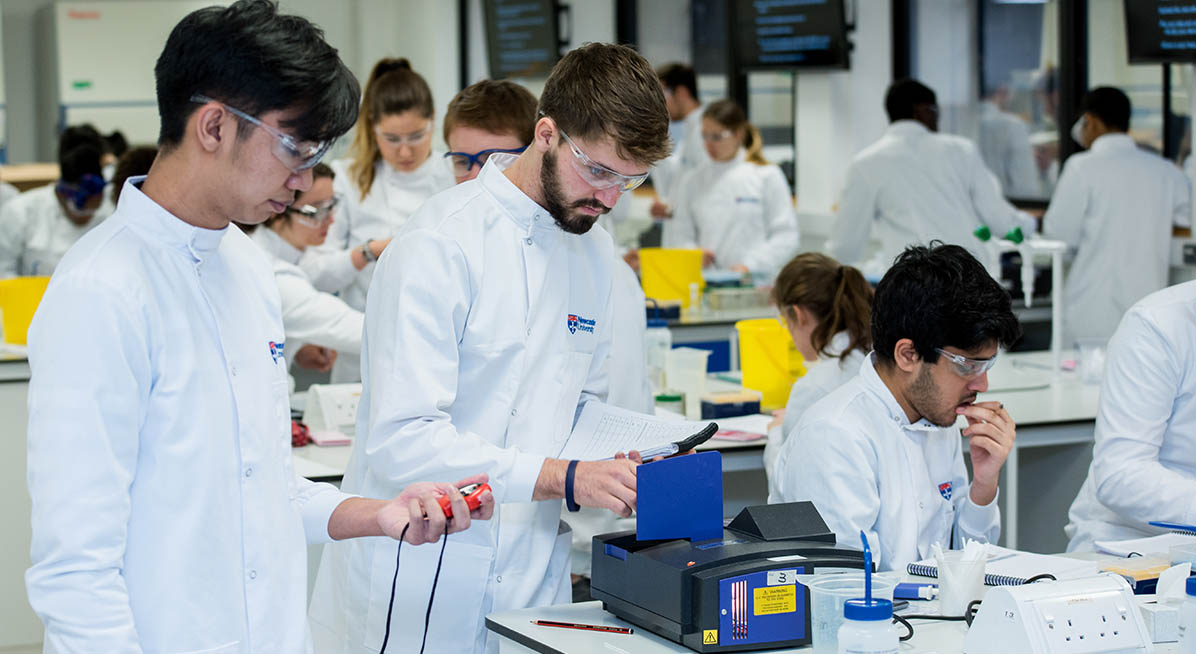 Students working in a lab